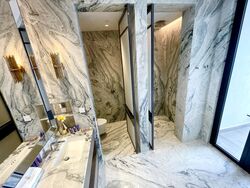 The Ritz-Carlton Residences (D9), Apartment #377409761